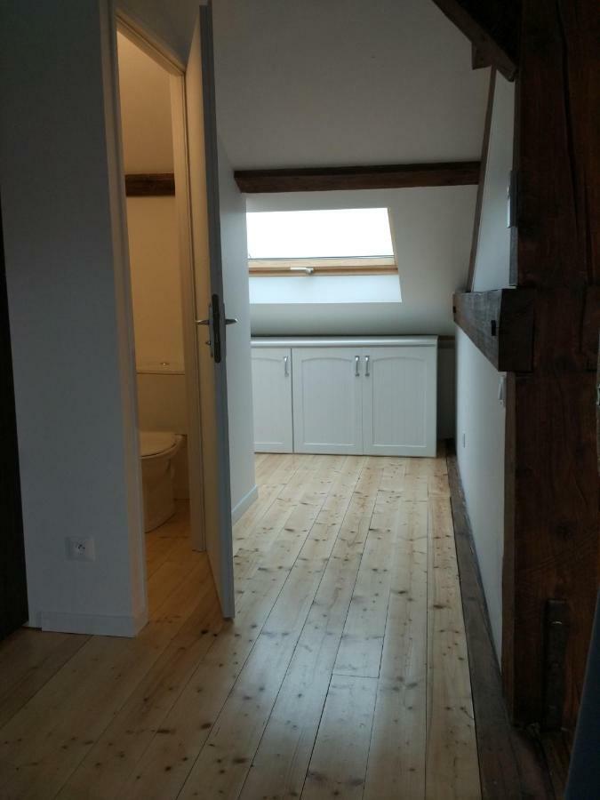 Apartment Loft Zola Dijon
